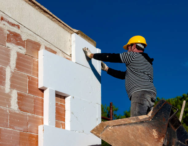Best Eco-Friendly Insulation in Douglas, MI