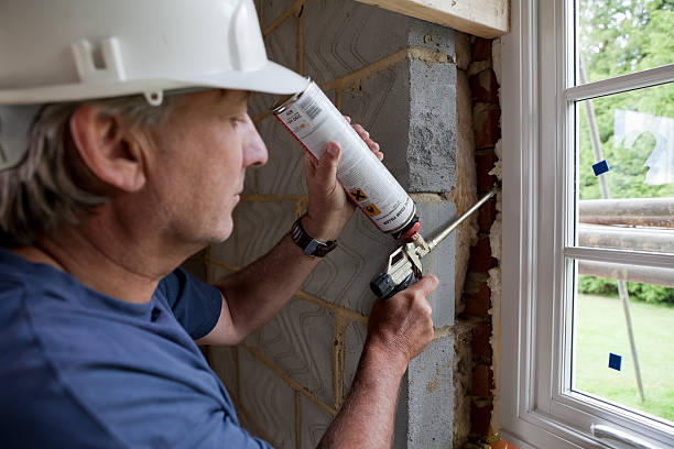 Best Specialized Insulation Services in Douglas, MI