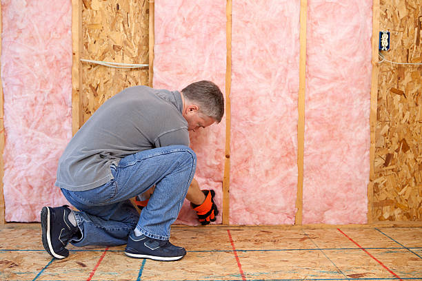 Best Fiberglass Insulation in Douglas, MI